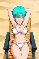 bulma briefs from dragon ball by pinku.ai
