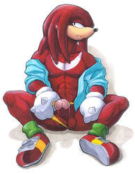 abs echidna furry furry_only knuckles_the_echidna male male_only pecs penis ratcandy sega solo sonic_(series) sonic_3 sonic_the_hedgehog_(series) sonic_the_hedgehog_3 straight_hair