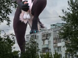 3d_(artwork) 4:3 anthro balls belly blue_claws brown_body brown_fur brown_legs city cityscape claws cloud cloudy_sky digital_media_(artwork) fluffy fluffy_tail fur genitals knot lynray macro male masturbation paws photo_background photography_(artwork) raised_leg rexouium sky solo tail white_belly white_body white_fur yukensha(artist)