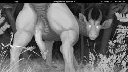 16:9 4k absurd_res animal_genitalia cloaca dragon feral forest genitals hi_res looking_at_viewer looking_back looking_back_at_viewer male monochrome mythological_creature mythological_scalie mythology peeing penis plant scalie technesaurus trail_cam tree widescreen