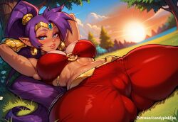 shantae (character) from shantae by candypinklips