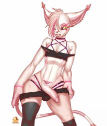 anthro bandai_namco bell-bell_(artist) bell-bell_(character) claws clothed clothing digimon digimon_(species) digital_media_(artwork) erection felid feline fur gatomon genitals hi_res looking_at_viewer male mammal penis piercing pink_body pubic_tattoo simple_background smile solo tattoo tattoo_on_belly