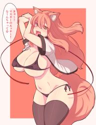 1girls ass big_ass big_breasts bra fate/extra_ccc fate/grand_order fate_(series) female fox_ears fox_girl fox_tail ishibori_eregomos large_breasts long_hair panties solo suzuka_gozen_(fate) tagme tail thighhighs thong underwear yellow_eyes