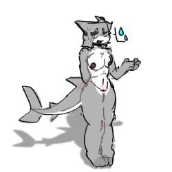 anthro breasts changed_(video_game) furry furry_breasts furry_ears furry_tail lmaofurr requiem_shark rule_63 shark shark_(changed) shark_fin shark_girl shark_humanoid shark_tail shark_teeth