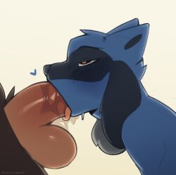 <3_eyes ambiguous_gender anthro balls blowjob blue_body blue_fur bodily_fluids canid canine duo erection fellatio fur genital_fluids genitals heart hi_res human human_on_anthro humanoid_genitalia humanoid_penis interspecies male male/ambiguous male/male male_on_anthro mammal nepentz nintendo nude oral oral_penetration penetration penile penis penis_in_mouth pokémon_(species) pokemon pokephilia red_eyes riolu sex tongue tongue_out tongue_out_blowjob