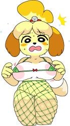 animal_crossing anthro anthrofied anthropomorphic areola areolae bell bell_collar blush blushing bow bowtie bra breasts canine cassettedream collar doubutsu_no_mori dream-cassette fishnet fishnet_legwear fishnet_pantyhose fishnets green_bra hoshime isabelle_(animal_crossing) micro_bra mob_face navel nervous nintendo open_mouth pantyhose red_bow red_bowtie shizue_(doubutsu_no_mori) simple_eyes skindentation tail transparent_background vagina yellow_dog yellow_fur