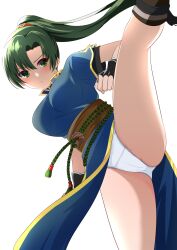 1girls accidental_exposure attack bare_legs breasts female female_only fire_emblem fire_emblem:_the_blazing_blade green_eyes green_hair kicking kisaragi_setsu_(mssk8485) large_breasts leg_up legs long_hair lyn_(fire_emblem) nintendo panties pelvic_curtain pelvic_curtain_lift ponytail solo transparent_background underwear white_background white_panties