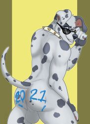 anthro canid canine canis chance_(furrywolfnate) collar dalmatian domestic_dog eyewear glasses hi_res male mammal nude slushee. solo sunglasses year