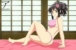 arekusanderu asuka_(senran_kagura) bra brown_eyes brown_hair female senran_kagura sitting solo thong