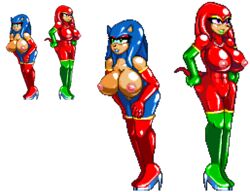 anthro blue_fur blue_hair boots breasts color echidna exposed_torso female female_only footwear fur furry gloves green_eyes hair handwear hedgehog humanoid interspecies knuckles_the_echidna multiple_females nipples open_eyes pixel_art purple_eyes red_fur red_hair rule_63 sonic_(series) sonic_the_hedgehog standing tan_skin transparent_background unnoticeableperson vulva