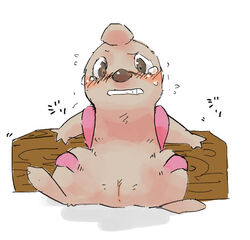 blush color female female_only feral front_view fur nude pokemon solo tagme tear timburr vulva