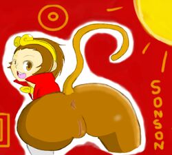 anthro ass_focus brown_fur capcom character_name close-up female female_only marvel_vs._capcom marvel_vs._capcom_2 presenting_hindquarters solo sonson tagme