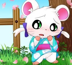 2018 accidental_exposure anthro asian_clothing bijou bijou_(hamtaro) blue_clothing blue_kimono blue_ribbon blush bow_ribbon cherry_blossom clothing clyndemoon cricetid east_asian_clothing female fur genitals grass green_eyes hamster hamtaro_(series) hi_res japanese_clothing kimono mammal plant pussy rodent signature solo white_body white_fur