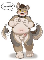 absurd_res anthro balls belly blush bodily_fluids canid canine canis collar domestic_dog english_text erection fur genital_fluids genitals grey_body grey_fur hi_res male mammal navel nude overweight penis precum solo ssu_open tail tail_motion tailwag text yellow_eyes