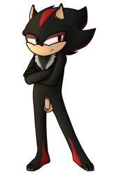 absurd_res anthro balls black_body black_fur body_hair chest_hair claws crossed_arms digital_media_(artwork) eulipotyphlan fur genitals hedgehog hi_res looking_away male male_only mammal nate_foster penis red_eyes sega serious shadow_the_hedgehog solo sonic_(series) sonic_the_hedgehog_(series)