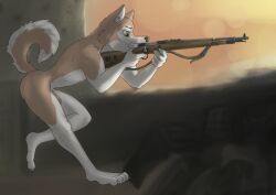 alaskan_malamute anthro brown_eyes canid canine canis casual domestic_dog firearm gun holding_object holding_weapon humanoid_genitalia husky kar98k male mammal nordic_sled_dog nude ranged_weapon rifle sniper_rifle soldier solo spitz warrior weapon wolfyalex96