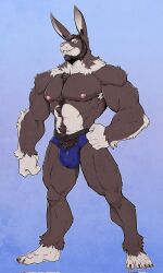 1boy 2020 abdominal_tuft anthro armpit_hair badcoyote beard body_hair chest_tuft clothing facial_hair hi_res kayin_mccloud kougatalbain lagomorph leporid male male_only mammal muscular muscular_male nipples pecs pink_nipples plantigrade rabbit solo tuft underwear