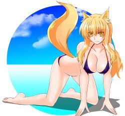 1girls all_fours big_breasts bikini breasts cleavage engo_(aquawatery) fate/extra_ccc fate/grand_order fate_(series) fox_girl long_hair suzuka_gozen_(fate) swimsuit tagme yellow_eyes