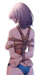 shirogane noel from hololive by mikan (chipstar182)