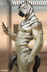 2023 anthro balls black_penis black_stripes chunie detailed_background digital_media_(artwork) elevator equid equine fur genitals hi_res humanoid_genitalia humanoid_penis looking_at_viewer male male_only mammal muscular muscular_male nipples nude penis smile solo stripes white_body white_fur zebra