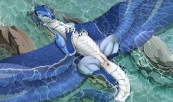 anus belly_scales blue_body blue_scales celina_(ghooostie) claws dragon female feral genitals hi_res ishiru jewelry looking_at_viewer lying lying_in_water necklace on_back partially_submerged pussy scales scalie shallow_water solo white_body white_scales wings