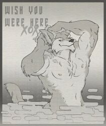 anthro bathing canid canine canis dislyte ear_piercing ear_ring freddy_(dislyte) fur hand_above_head male mammal piercing ring_piercing scar smug soap solo steam_censorship tasteful_nude text washing_hair wet wet_body wet_fur wolf zinthings