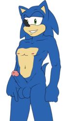 anthro aval0nx babysitting_cream blue_arms color erection fur furry hedgehog male male_only nude penis solo sonic_(series) sonic_the_hedgehog standing tagme