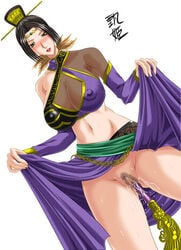 dynasty_warriors no_panties tagme zhen_ji