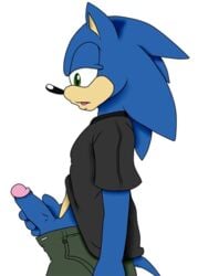 anthro aval0nx babysitting_cream blue_arms clothes color fur furry handjob hedgehog male male_only masturbation penis side_view solo sonic_(series) sonic_the_hedgehog tagme