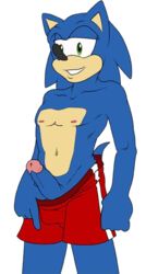 anthro aval0nx babysitting_cream blue_arms clothes color erection fur furry green_eyes hedgehog male male_only penis solo sonic_(series) sonic_the_hedgehog standing swimming_trunks tagme tail topless