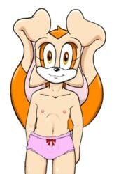 anthro anthrofied aval0nx babysitting_cream color cream cream_the_rabbit female female_only flat_chest fur furry huge_eyes looking_at_viewer nipples panties rabbit sega solo sonic_(series) standing toony topless