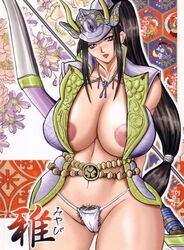 inahime sengoku_musou tagme