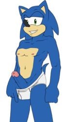 anthro aval0nx babysitting_cream blue_arms clothes color erection fur furry hedgehog male male_only penis solo sonic_(series) sonic_the_hedgehog standing tagme tighty_whities topless underwear