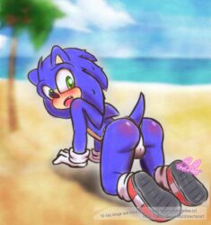 all_fours asian_clothing ass balls blush bulge clothing east_asian_clothing feet footwear fundoshi genitals handwear japanese_clothing male movie_sonic onechan outside rear_view sega soles solo sonic_(series) sonic_the_hedgehog sonic_the_hedgehog_(film) sonic_the_hedgehog_(series) underwear