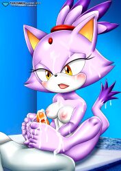 blaze the cat from sega by bbmbbf