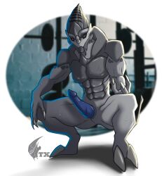 absurd_res alien anthro blue_penis bodily_fluids crouching genitals gym hi_res inviting male male_only mass_effect neonyx penis presenting sweat sweatdrop turian