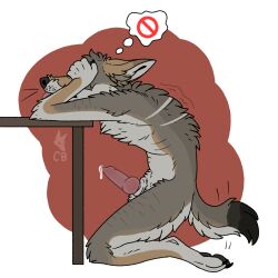 alpha_channel anatomically_correct animal_genitalia anthro black_pawpads blep brown_body brown_fur cackling-beast canid canine canine_genitalia canine_penis canis colored_line_art covering covering_eyes covering_face coyote daydream_(cackling-beast) ears_back embarrassed fur fur_tuft furniture genitals grey_body grey_fur hi_res kneeling leaning_on_table male mammal muzzle_scabs pawpads pivoted_ears scar simple_background solo solo_focus table tail tail_motion tailwag tan_body tan_fur thought_bubble tongue tongue_out transparent_background tuft watermark