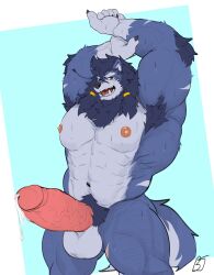 1boy 2022 absurd_res anthro arm_tuft armpit_hair balls barazoku big_balls big_muscles big_penis black_nose bladetiger blue_body blue_fur blue_hair bodily_fluids body_hair canid canine canis elbow_tuft erection eyebrows fur genital_fluids genitals hair hi_res huge_cock huge_muscles humanoid_genitalia humanoid_penis looking_at_viewer male male_only mammal merphilox_bigwolf muscular muscular_anthro muscular_male nipples nude penis pink_nipples pink_penis precum pubes red_eyes simple_background solo standing stretching sweat thick_eyebrows thick_penis tuft vein veiny_penis wolf