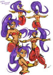 shantae (character) from shantae by minacream