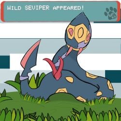 2025 2_penises animal_genitalia animal_penis digital_drawing_(artwork) digital_media_(artwork) feral generation_3_pokemon genitals hemipenes hi_res looking_at_viewer male multi_genitalia multi_penis nintendo outside penis pokemon pokemon_(species) puppybug94 reptile scalie seviper snake solo text_box watermark