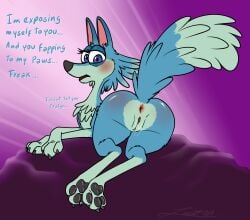 2024 3_toes absurd_res animal_genitalia animal_vulva anus ass big_butt blue_body blue_eyes blue_fur blush canid canine canis claws countershading digital_drawing_(artwork) digital_media_(artwork) digitigrade exposed feet female feral fur genitals gracie_(night_of_the_zoopocalypse) head_tuft hi_res huge_butt humanoid_genitalia humanoid_genitalia_on_feral humanoid_vulva humanoid_vulva_on_feral insult insulting_viewer looking_at_viewer mammal neck_tuft night_of_the_zoopocalypse nude pawpads paws presenting presenting_anus presenting_hindquarters presenting_vulva shy solo tail tail_tuft talking_to_viewer toes tuft vulva wet wolf zooshi