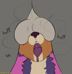 anthro ass ball_worship balls bodily_fluids breath canid canine canis coyote duo genitals male male/male mammal meme panting petsoftthings_(artist) purple_tongue sniffing sweat sweaty_balls sweaty_butt sweaty_genitalia these_aren't_my_glasses tongue tongue_out