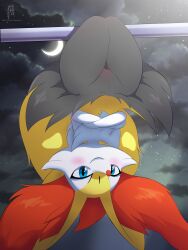 absurd_res anthro black_body blue_eyes blush braixen eryz female generation_6_pokemon genitals hi_res looking_at_viewer night nintendo outside pokemon pokemon_(species) pussy red_body solo upside-down white_body yellow_body