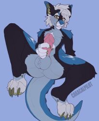 anthro black_body black_fur blue_body blue_fur blue_nose canid canine caracalpilot_(artist) dewclaw dinosaur fur genitals green_eyes hair hi_res holding_penis humanoid_genitalia humanoid_penis looking_at_viewer male mammal masturbation penile_masturbation penis pink_penis reptile scalie sigil_(fatdog) solo white_hair