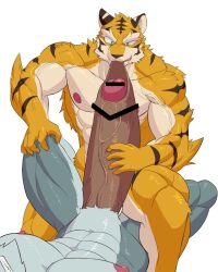 abs bara biceps censored furry gay hyper hyper_balls hyper_genitalia hyper_penis hyper_testicles legs_apart male male_focus male_only muscle muscles muscular muscular_arms muscular_ass muscular_back muscular_legs muscular_male muscular_thighs nipples pecs pulling_foreskin spreading_legs tiger tsukigata_rossi veins veiny_penis