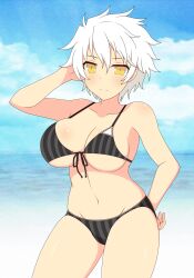 1girls beach bikini cleavage cloud collarbone expressionless female front-tie_bikini front_view huge_breasts ichiryuu_tsumiki light-skinned_female light_skin looking_at_viewer miyabi_(senran_kagura) ocean sand senran_kagura short_hair sky slit_pupils solo standing water white_hair yellow_eyes