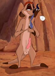 disney feather feral male_only malroth meerkat penis semi-anthro sniffing tagme testicles the_lion_king timon weaselgrease yaoi zazu