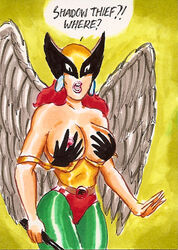 1girls dc female female_only hawkgirl joe_gravel justice_league shadow_thief solo tagme