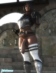 1futa 3d armor big_penis bottomless clothed clothing futa_only futanari jbtrimar light-skinned_futanari light_skin partially_clothed penis solo standing tagme