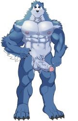 abs absurd_res anthro balls biceps blue_body blue_fur canid canine canis casual_erection casual_nudity erection fur genitals hi_res humanoid_genitalia humanoid_penis itsdhani looking_at_viewer male mammal manly muscular muscular_male navel nipples nude pecs penis quads red_eyes simple_background smile solo solo_focus